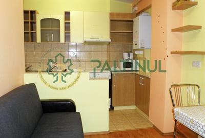 Garsonieră decomandată, mobilată în Turnișor - 5