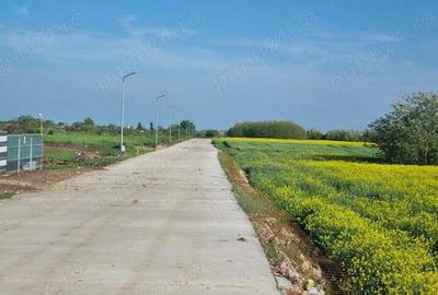 Vanzare Teren rezidential Cernica Posta 750mp Vanzare Teren rezidential Cernica Posta 750mp - 4