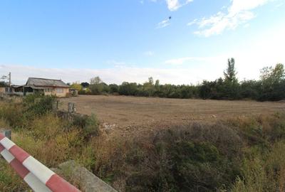 Parcela teren intravilan, 3169mp,  Tetila - 1