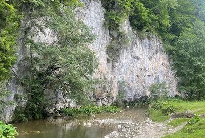 Teren de 4500 mp, în Dâmbovicioara - 4