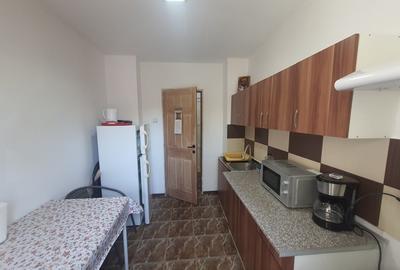CITY MALL APARTAMENT MODERN CU 2 CAMERE CENTRALA GAZE LOC PARCARE - 2