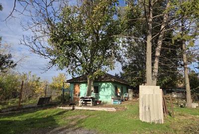 Teren intravilan 9970 mp , com. Chirnogi, jud. Calarasi (situat la 50-60 km de Bucuresti) - 8