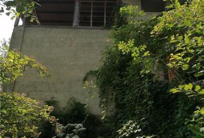 Teren 11230 m.p. Conac - necesita renovare - 3