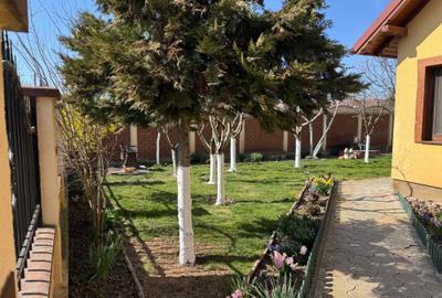 Casă cu 3 camere în Șag - 2