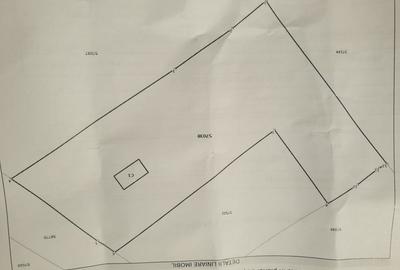 Spațiu comercial, în Grindeni - 1