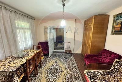 Casa traditionala cu potential de vanzare-HEMEIUS - 11