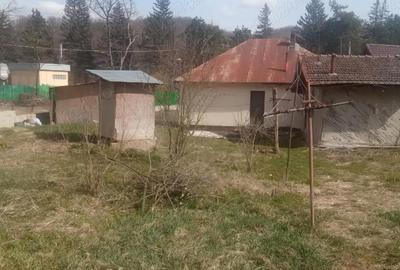 Casă cu Teren 5 Mp în Central - 3