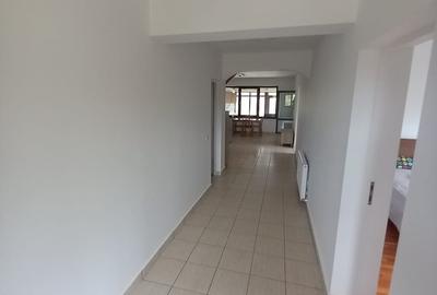 CASA CU TEREN GENEROS IN GRUIU - 30