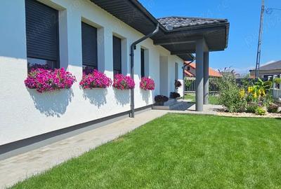 Casă cu Teren 550 Mp în Satu Nou de Jos - 13