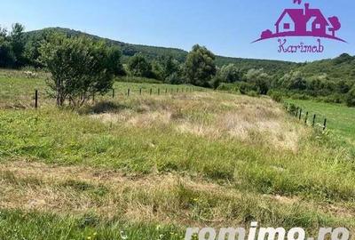 Teren intravilan Hidiselul de Sus - 6