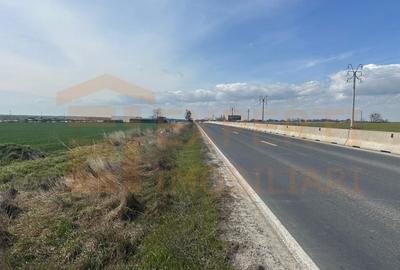 Teren Construcții intravilan de 10000 mp, în Valu lui Traian - 7