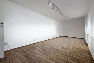 Inchiriere imobil 7 camere curte proprie Stefan Cel Mare Eminescu - 16