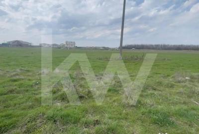 Teren în Cârcea - 7