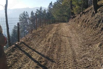 Teren de 765 mp, în Pârâul Pântei - 1
