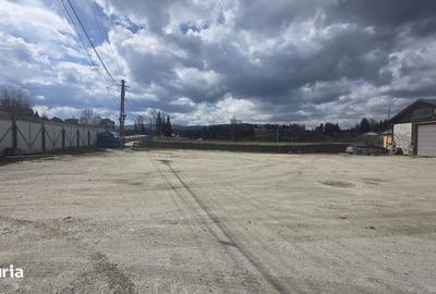 Teren în Panaci - 1