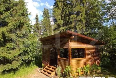 Cabana cu teren 1364mp, zona Bucin - 14