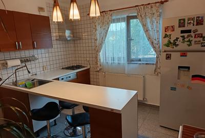 Casă individuală Clinceni, mobilată și utilată complet, curte amenajată - 8