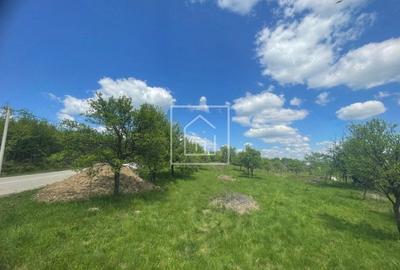 Teren intravilan 1200 mp cu priveliste superba zona Sibiel - 4