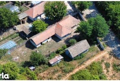 Casă cu 4 camere cu Teren 3500 Mp în Bârca - 3