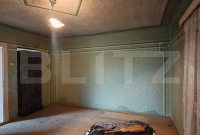 Casă cu 2 camere cu Teren 660 Mp în Mihai Viteazu