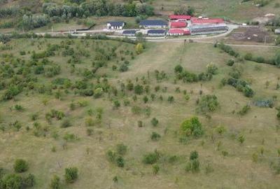 Teren de 13500 mp, în Berevoești