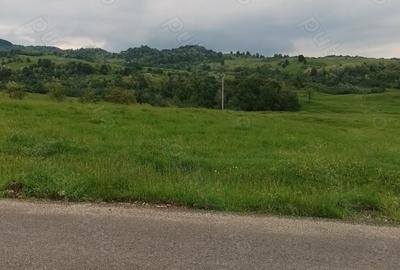 Teren de 3600 mp, în Aluniș - 5