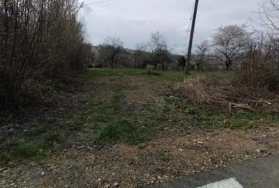 Teren de 6800 mp, în Șișești - 2