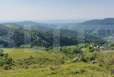 Teren extravilan pentru cabana, 3800 mp, zona-Ramet Transapuseana - 2