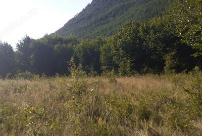 Roscani-Dobra-Teren Cabana-10km A1-Posibilitate Rate - 4