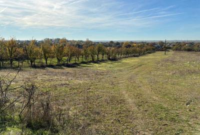 Teren de 5140 mp, în Exterior Vest - 4