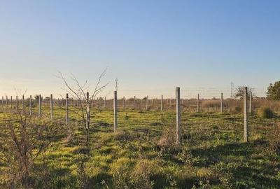 Veterani , teren imprejmuit - 2