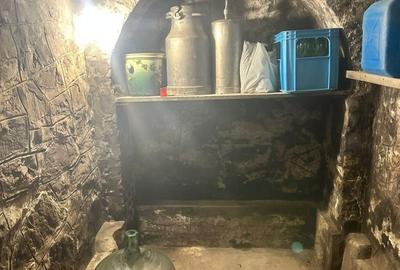 Singura casa de vanzare pe str.Mircea Voda cu 1500 mp ! - 25