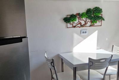 Apartament cu 2 camere, mobilat în Tătărași - 6