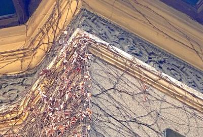 Vila cu arhitectura Aviatorilor - 3