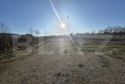 Teren 2.500 mp, front 23 ml, trifazic Coste?ti din Deal - 2