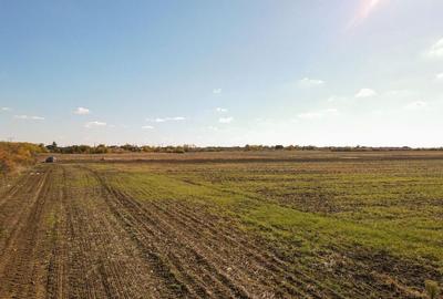 Bucovat - Lot Intravilan 2.27 Ha, PUZ inceput, Rezidentia... - 4