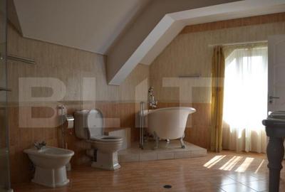 Vila 6 camere, 450mp, Dumbravi?a, zona Ferventia-Fropin - 7