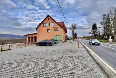 Oportunitate ! Pensiune 7 camere, 4 apartamente, 760mp utili la E60 - 15