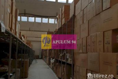 Hala 3600mp zona de Sud a capitalei - 6