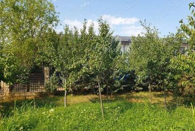 De vanzare teren 562mp + foisor si beci, Bragadiru - 2