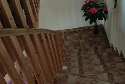 Casă cu 6 camere în Negreni - 4