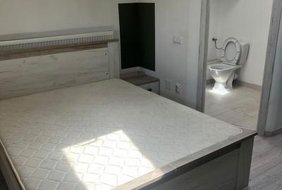 Apartament cu 2 camere decomandat în Podu Roș - 5