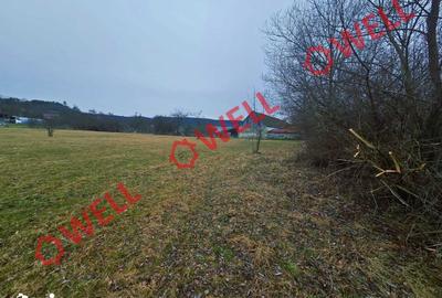 Teren de 5296 mp, în Hoghiz - 4