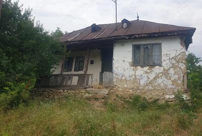 Casă cu 3 camere în Tega - 4