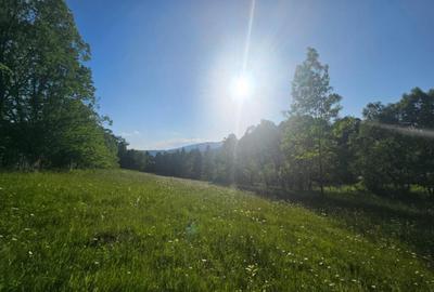 TEREN DE VANZARE APROAPE DE PADURE - 7