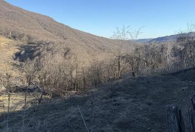 Teren de 1780 mp, în Valea Doftanei - 5