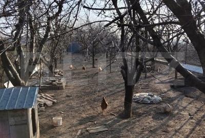 Casa unifamiliala complet mobilata si utilata gata pentru mutare - 10