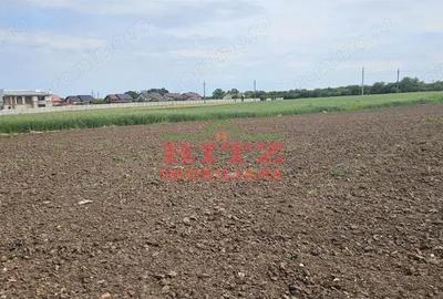 Teren de 4998 mp, în Caracal - 3