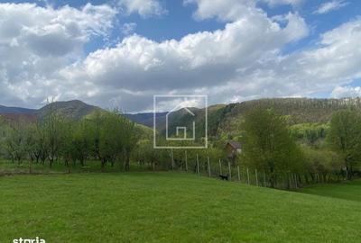 Spațiu comercial, în Sadu