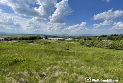 Teren superb in Salicea, 3695 mp, PUZ, drum, apa si curent, zona “La Mesteceni” - 3